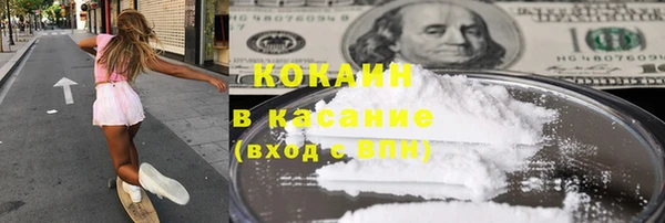 сатива Бронницы