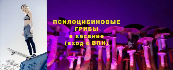 сатива Бронницы