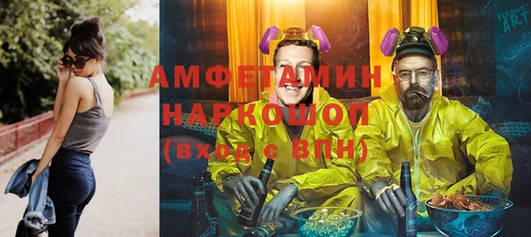 сатива Бронницы