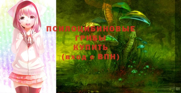 гидропоника Богородицк