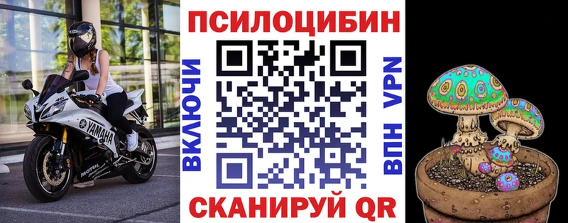 Галлюциногенные грибы MAGIC MUSHROOMS  MEGA зеркало  Нелидово  как найти  